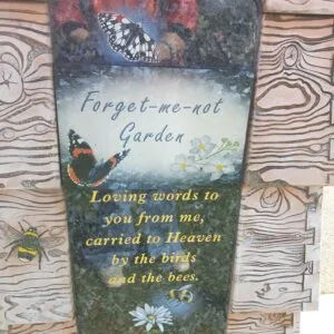 Forget Me Not pic 3