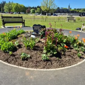 Forget Me Not Garden Pic 2